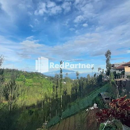 Bromo Indah Lestari Homestay RedPartner Pasuruan Extérieur photo
